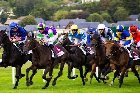 Lodge Twin On Golf Course Private Cosy