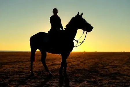 Lodge Twin On Golf Course Private Cosy *